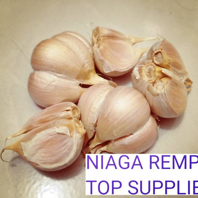 

Bawang putih kating murah