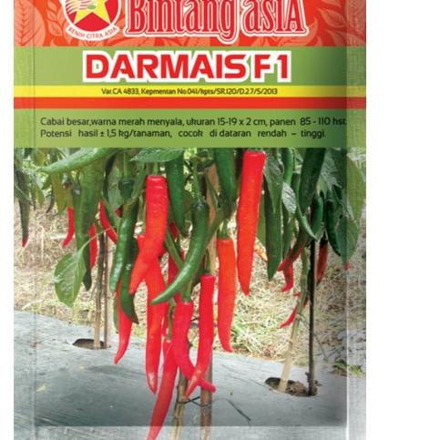 Ready ー➽Benih Cabe DARMAIS F1 berat 10gram (Cabe besar)