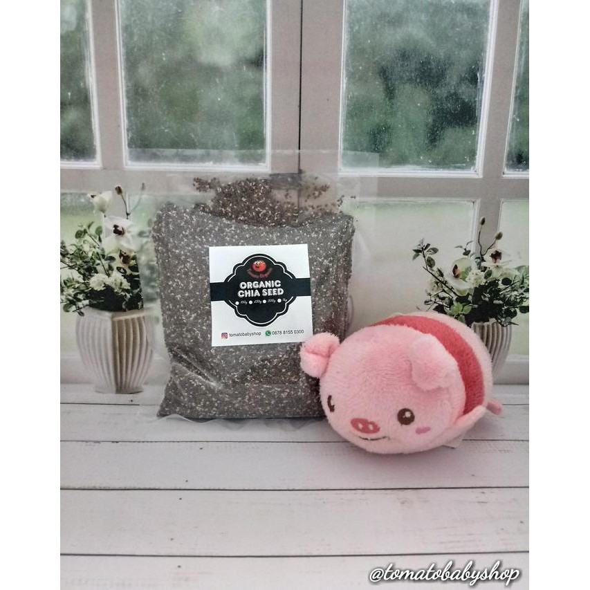 

Super Sale Organic Chia Seed Untuk Mpasi 100 Gr / Makanan Organik Ready Stock