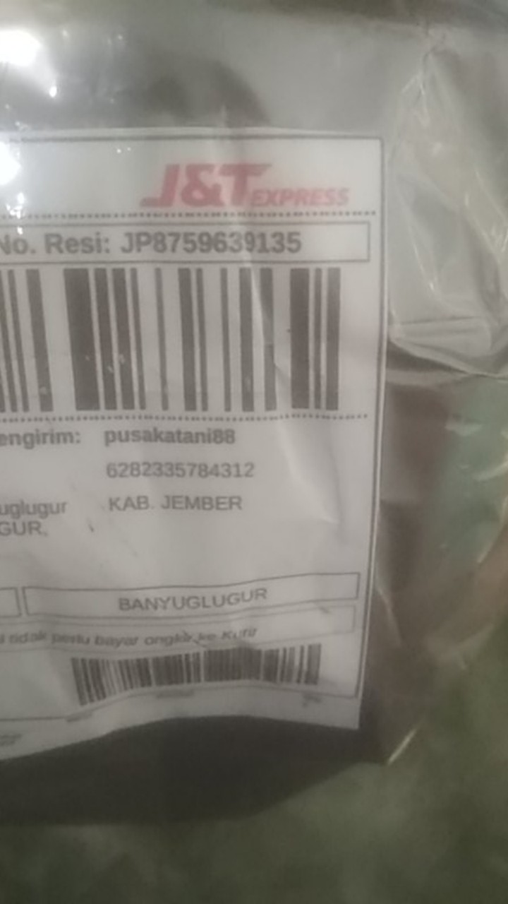 Plastik Mulsa - Palstik Putih Bening - Plastik - Tutup Bedengan - Bedeng Tanaman- Sayur - 25meter