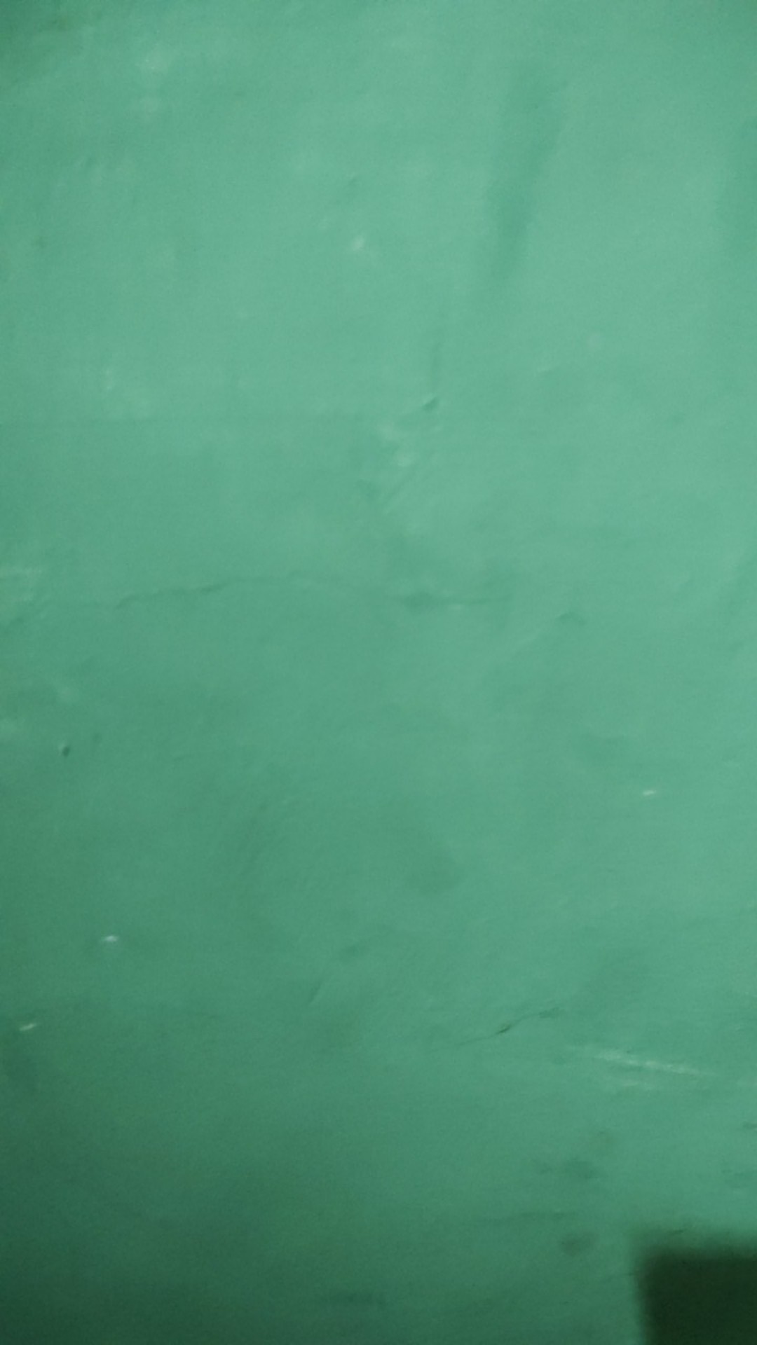 Sapu Hana Semangka/watermelon Broom