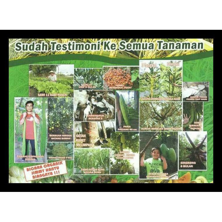 54 Hantu Durian Asli HD