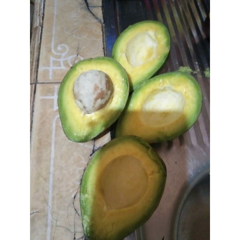 

ALPUKAT MENTEGA