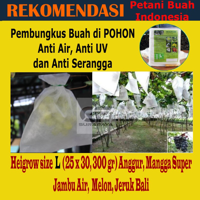 Brongsong Buah Anggur Jambu Super Pembungkus Buah di Pohon Bungkus Buah Heigrow Fruit Cover size L