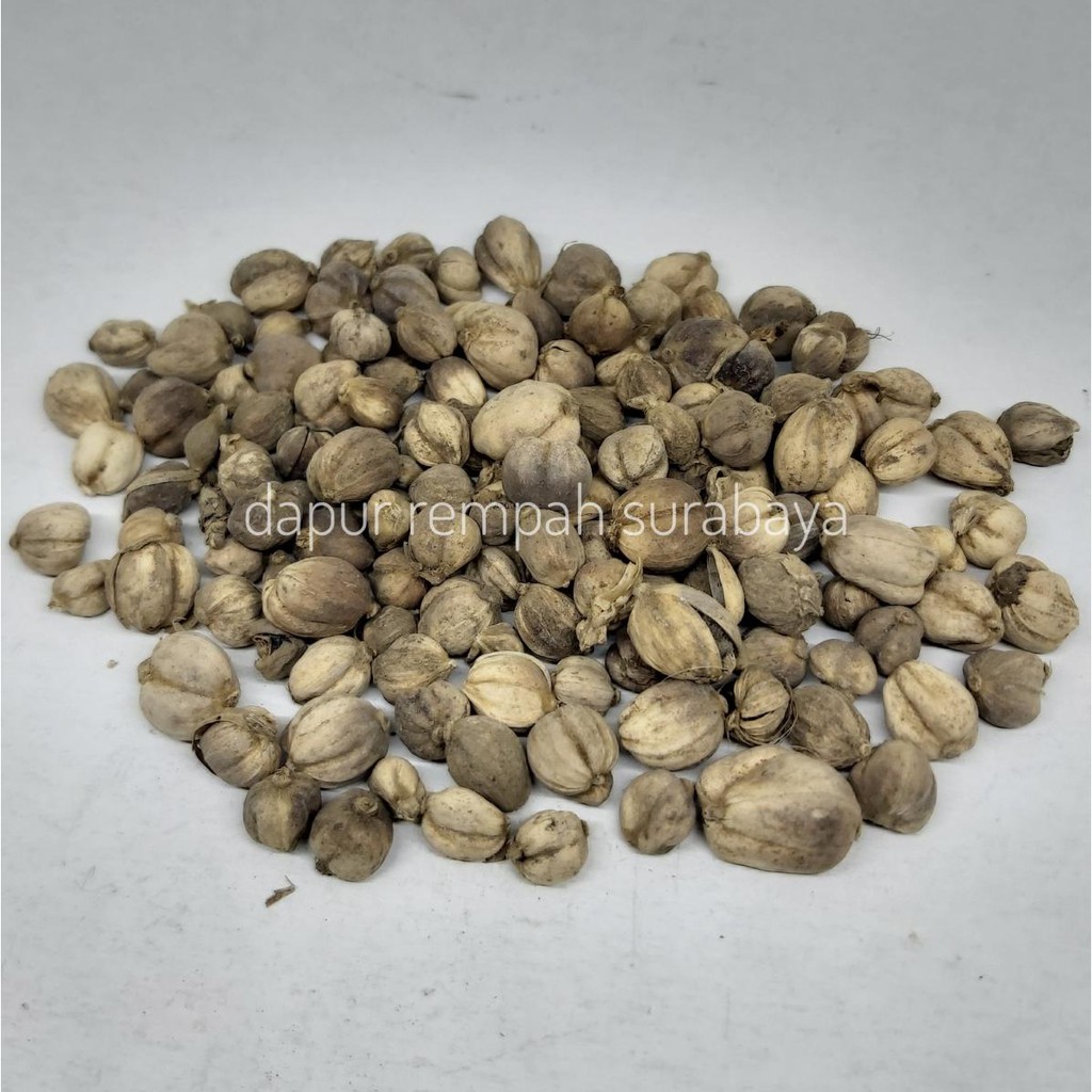

KAPULAGA JAWA KAPULAGA KERING KAPULOGO JOWO KAPULOGO HERBAL KAPOL KARKOLAKA