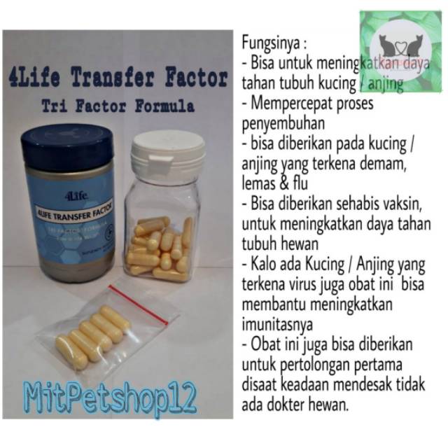 Jual 4Life Transfer Factor Tri Factor Fromula (pcs) | Shopee Indonesia