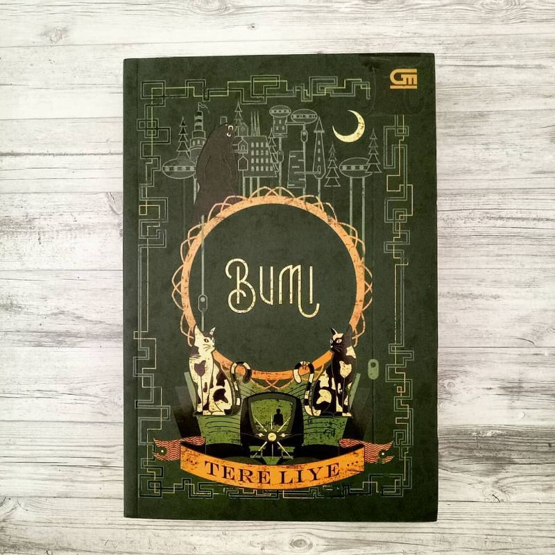 NOVEL BUMI TERE LIYE