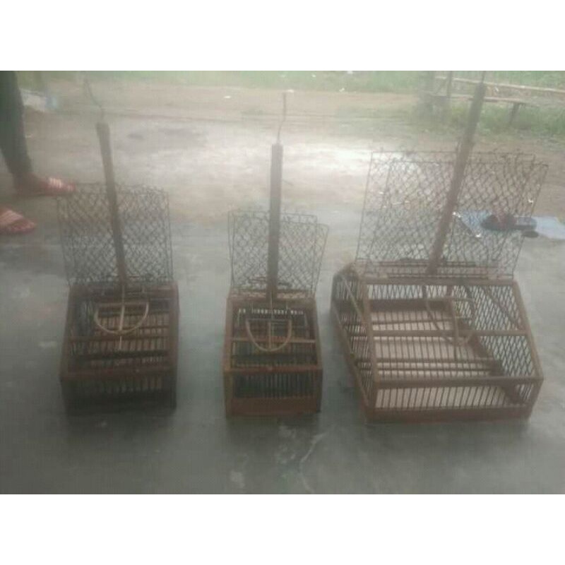 sangkar jebak burung