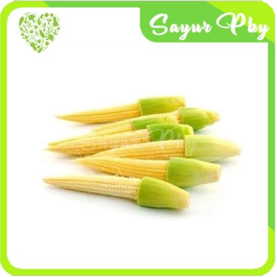 

Jagung Acar/ Putren/ Baby Corn 250 gr