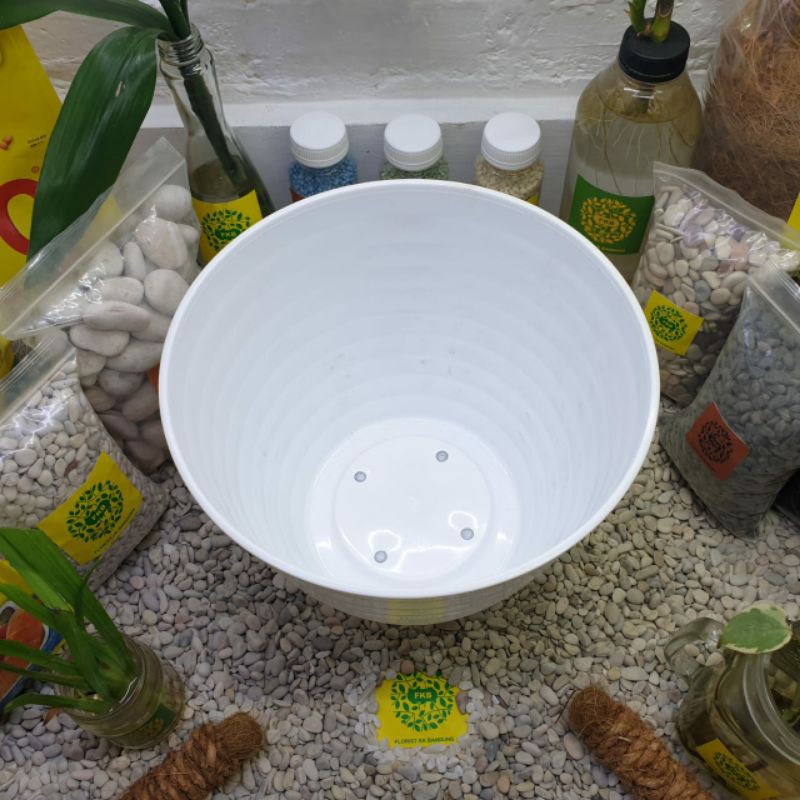 Best Pot Bunga Model Tawon Yoyo Star Putih 30cm 30 cm Model Tawon 25