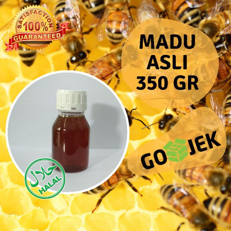 

Madu Klanceng Asli Lanceng Murni 350 Gram Jaminan Mutu