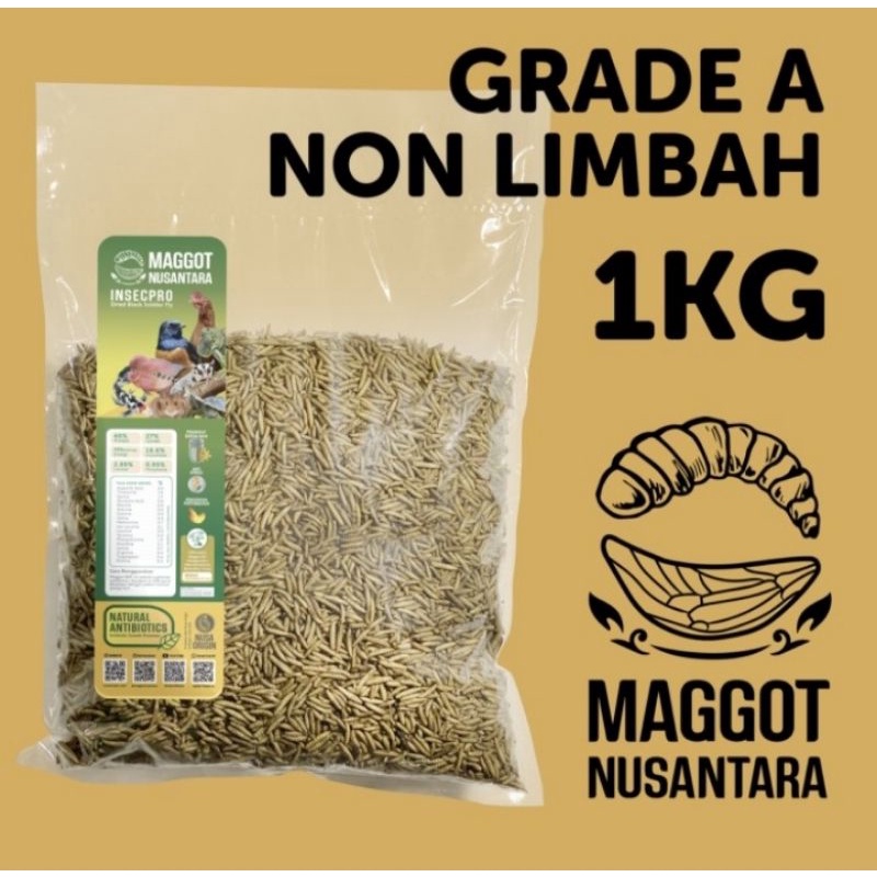 Pakan Ikan Makanan Ikan KOI Arwana Louhan Lohan Maggot Bsf Maggot Nusantara 1Kg