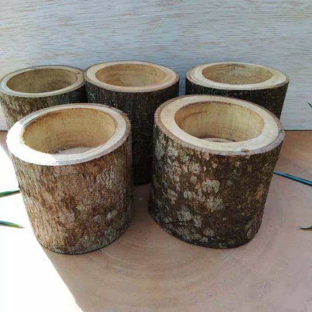 Natural wood log planters succulent pot vas bunga kayu kaktus