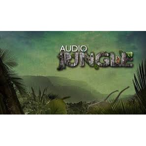 Audio Jungle Stock Music Bundle 50gb