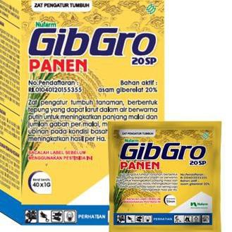 [READY STOCK] GIBRO PANEN 20SP (zpt)