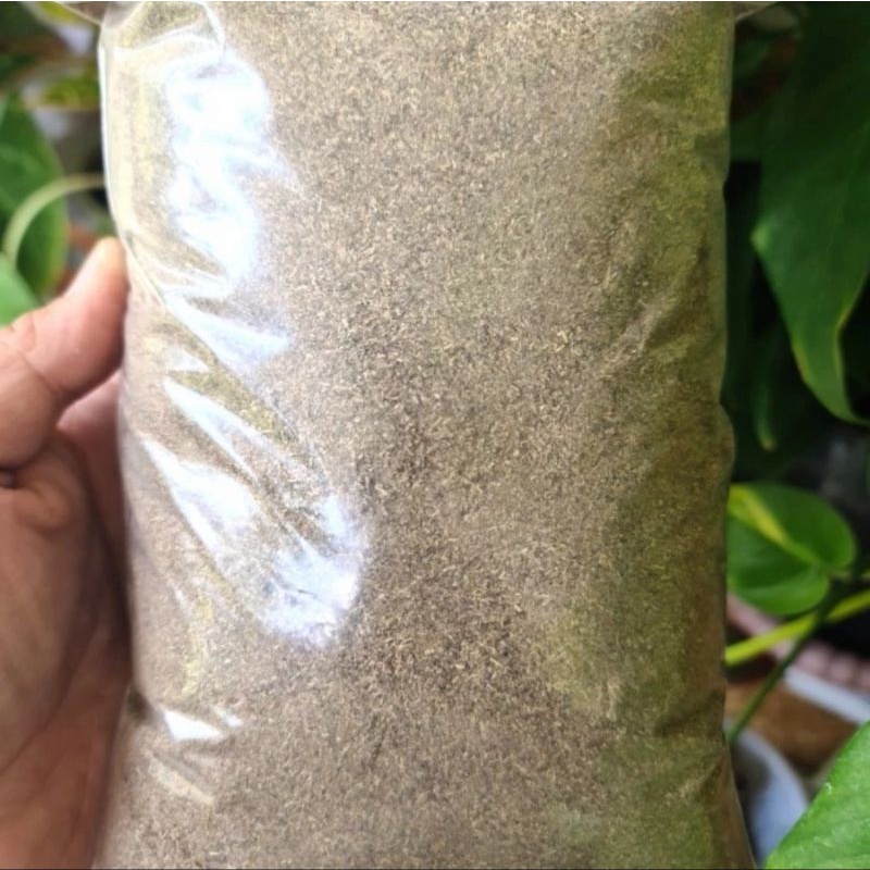 

Bubuk Brotowali 100 gram - Bubuk Butrowali Asli Murni Tanpa Campuran