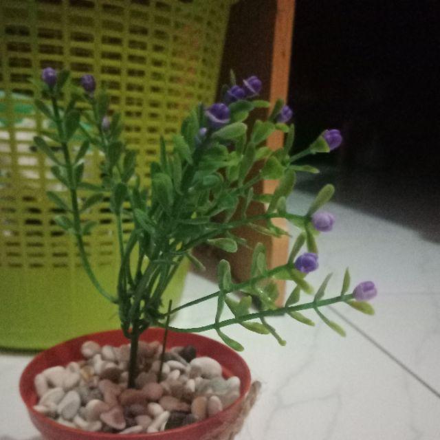 Daun Anggur Plastik/ Daun Anggur Artficial