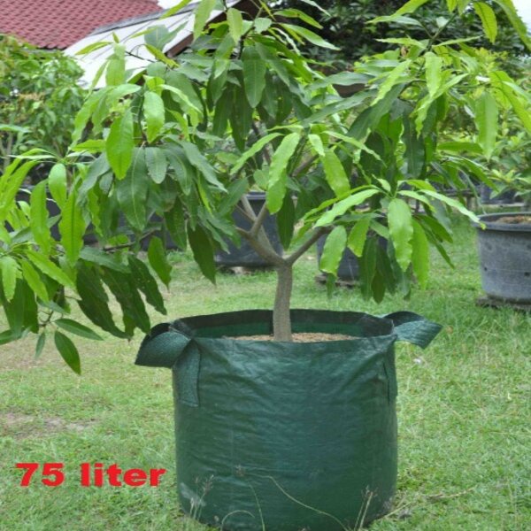 Planter Bag Hijau 75 L Easy Grow Planterbag Polibag Pot Tanaman Buah
