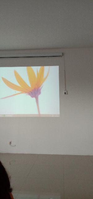 Hem Batik Pria Manggar