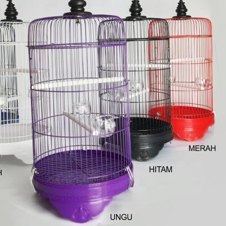 Sangkar Burung Pleci Besi Import Kandang Ciblek Kolibri Konin