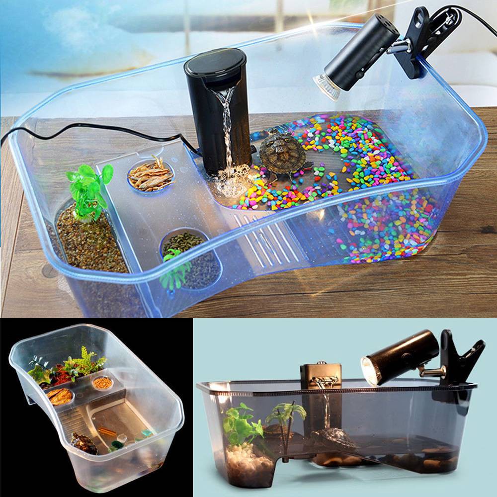 Wadah Plastik Vivarium Akuarium Hewan Peliharaan Kura Kura air Kurakura Brazil Turle Box Komplit