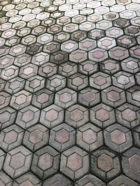 Panci Saucepan 16cm Stainless Steel Plus Tutup - Golden Flying Fish Spc0316p