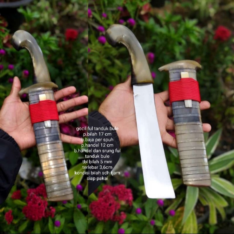Gol0k gocil full tanduk bule.per steel.handle dan sarung full tanduk bule