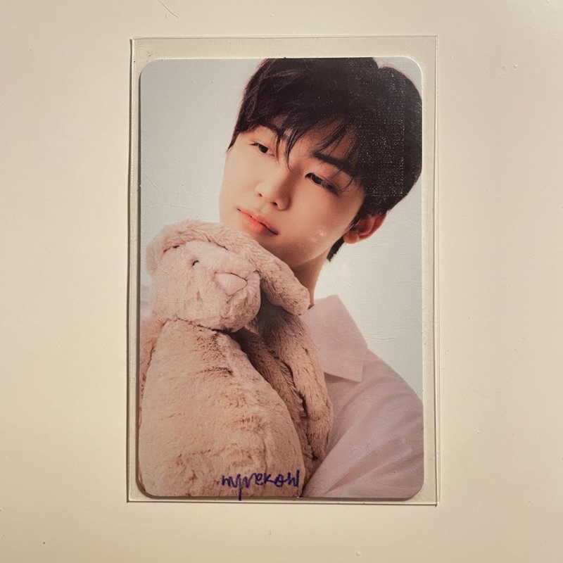 PC JAEMIN BONEKA SG22 BENE SM STORE