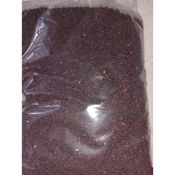 Pakan burung biji sawi 1kg