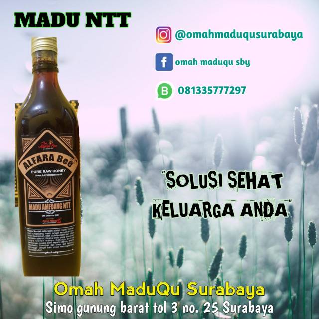 

Madu amfoang NTT Alfarabee