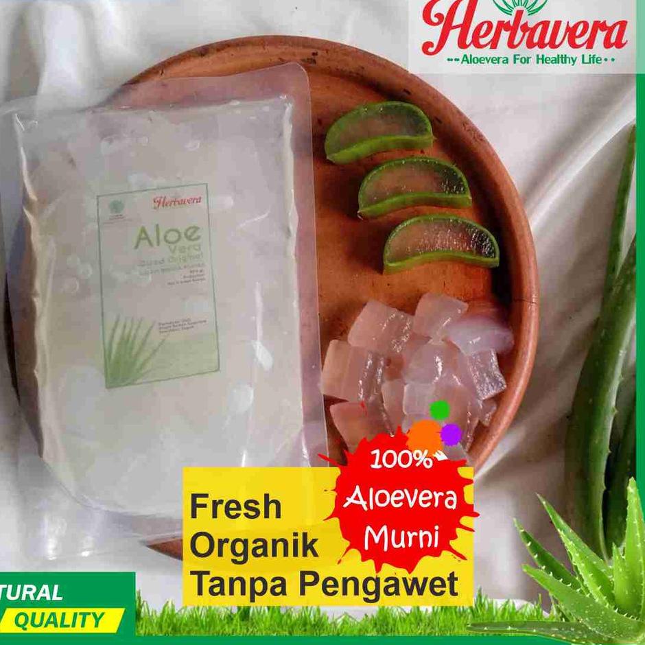 

✨BIG SALE✨ Lidah Buaya / Aloevera Kupas 500 gram
