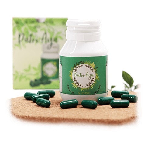 Isi 30 Kapsul Pelangsing Herbal Putri Ayu BPOM