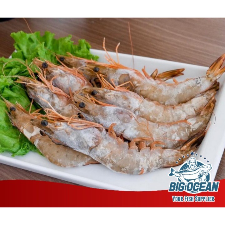 

Udang Jerbung | White Prawn | Udang Banana Utuh @1kg/Pack
