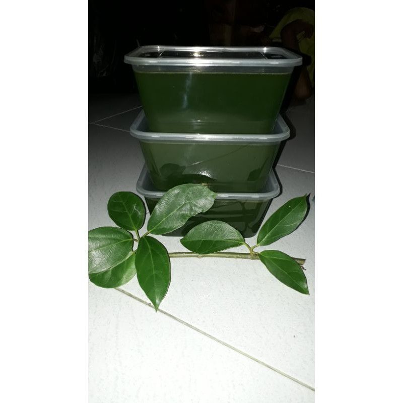 

TERMURAHH!! cincau fress siap saji extra daun suji