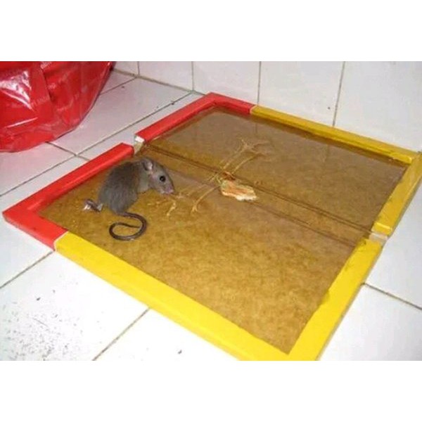 Lem Tikus PAGODA Perangkap Tikus