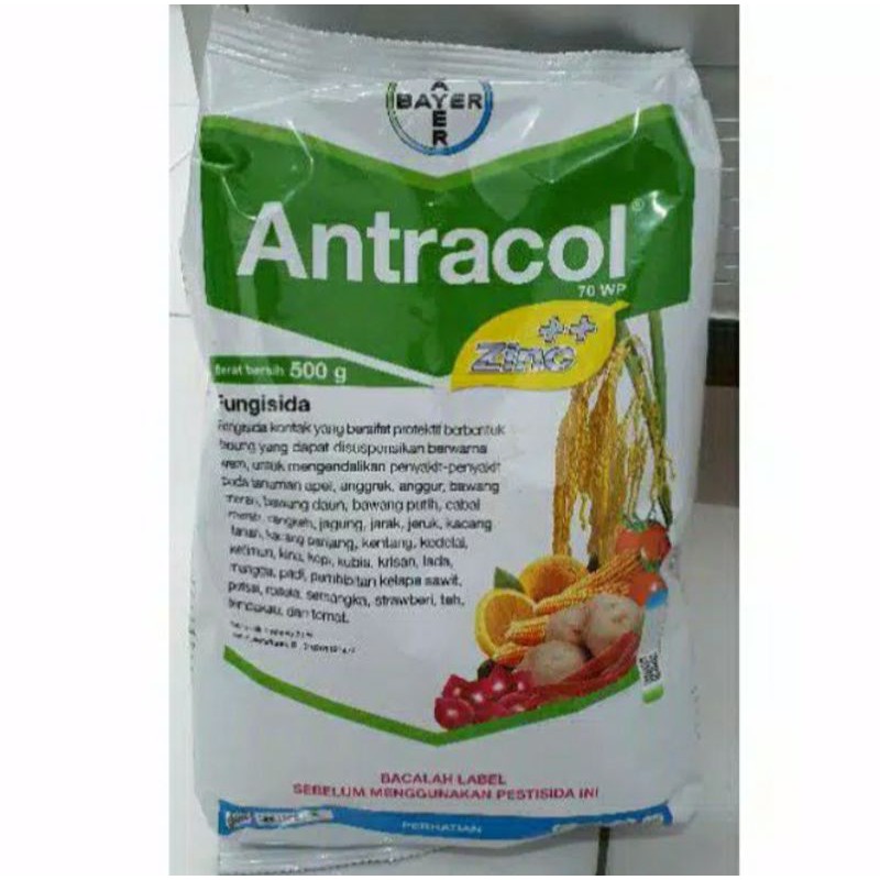 Antracol 500gr