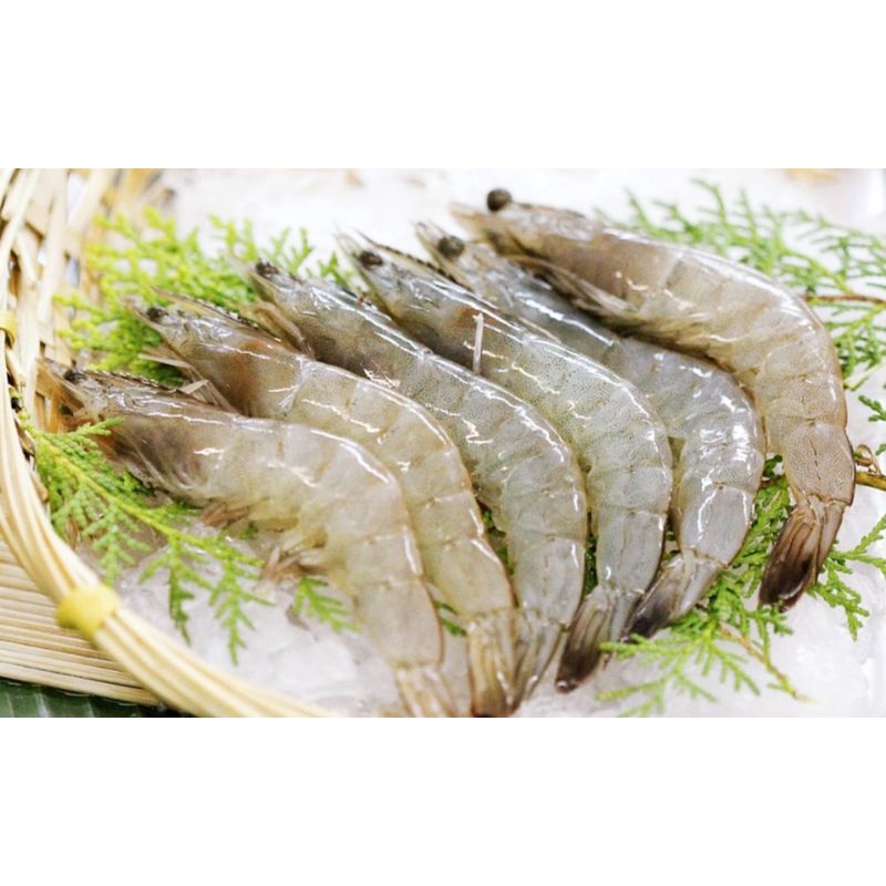 

Udang Segar Kelong Vaname 250gr Padang, Gratis Buang Kepala/Kupas