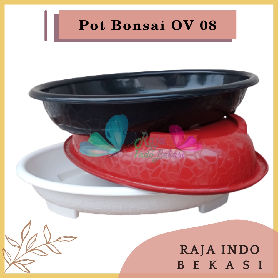 Ori Bjp Bonsai Oval Ov 08 Putih Hitam Merah Bata Coklat Pot Bunga Plastik Bonsai Budi Jaya Motif Batu Alam Ceper PendekPot Bonsai Plastik Keramik Semen Bonsai Mame Kelapa Besar Mini