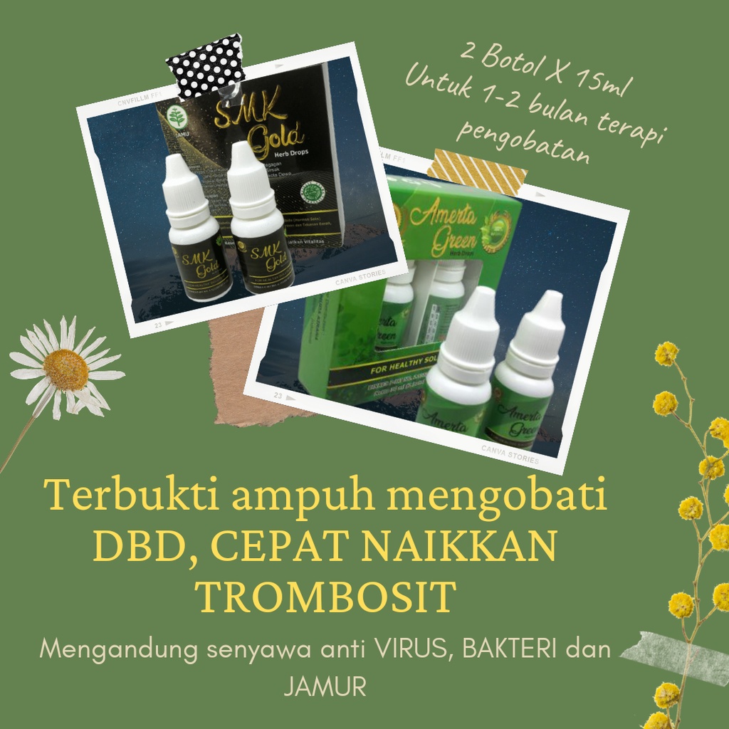 Isi 2 BOTOL Obat Tradisional DBD Menaikan TROMBOSIT Suplemen Kesehatan Jamu Herbal Suqi Amerta Green