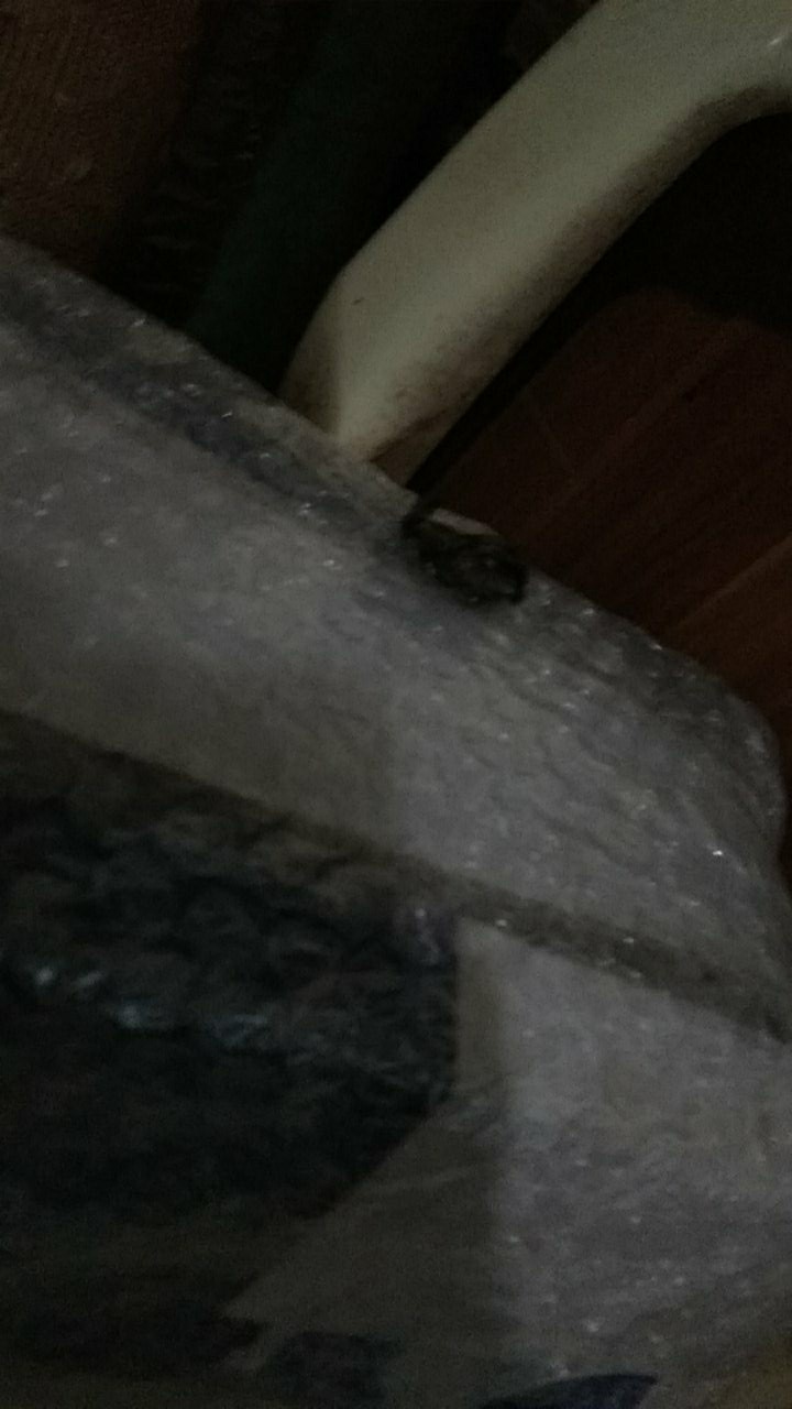 Vs 1 X 3/4” Jaya / Flok Vlok Sok 1 X 3/4 Inci /  Vlok Socket 1x3/4 Inci Jaya / Reducing Socket