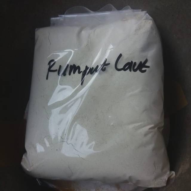 

Rumput laut bubuk 500gram