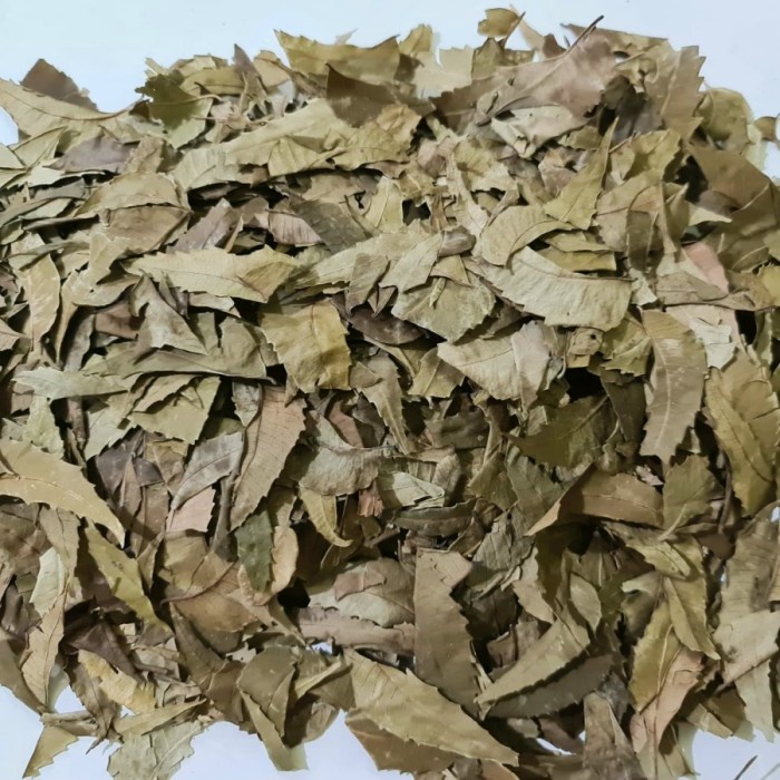 

Daun Mimba Asli Kering 250 gram (1/4 kg) Herbal Alami