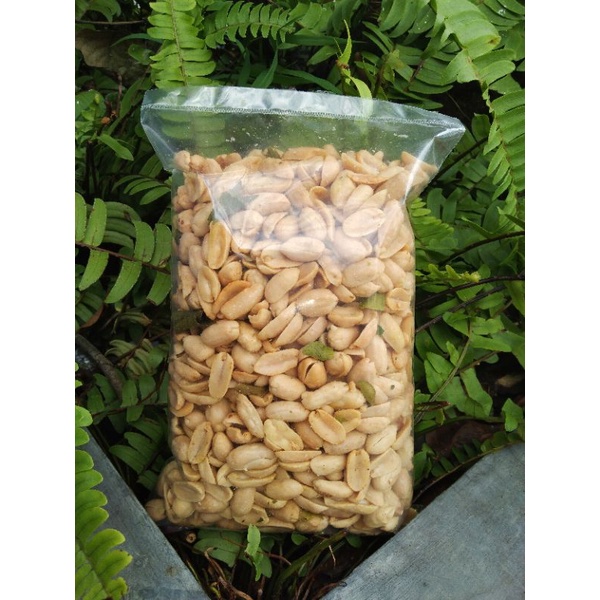 

Kacang bawang bali