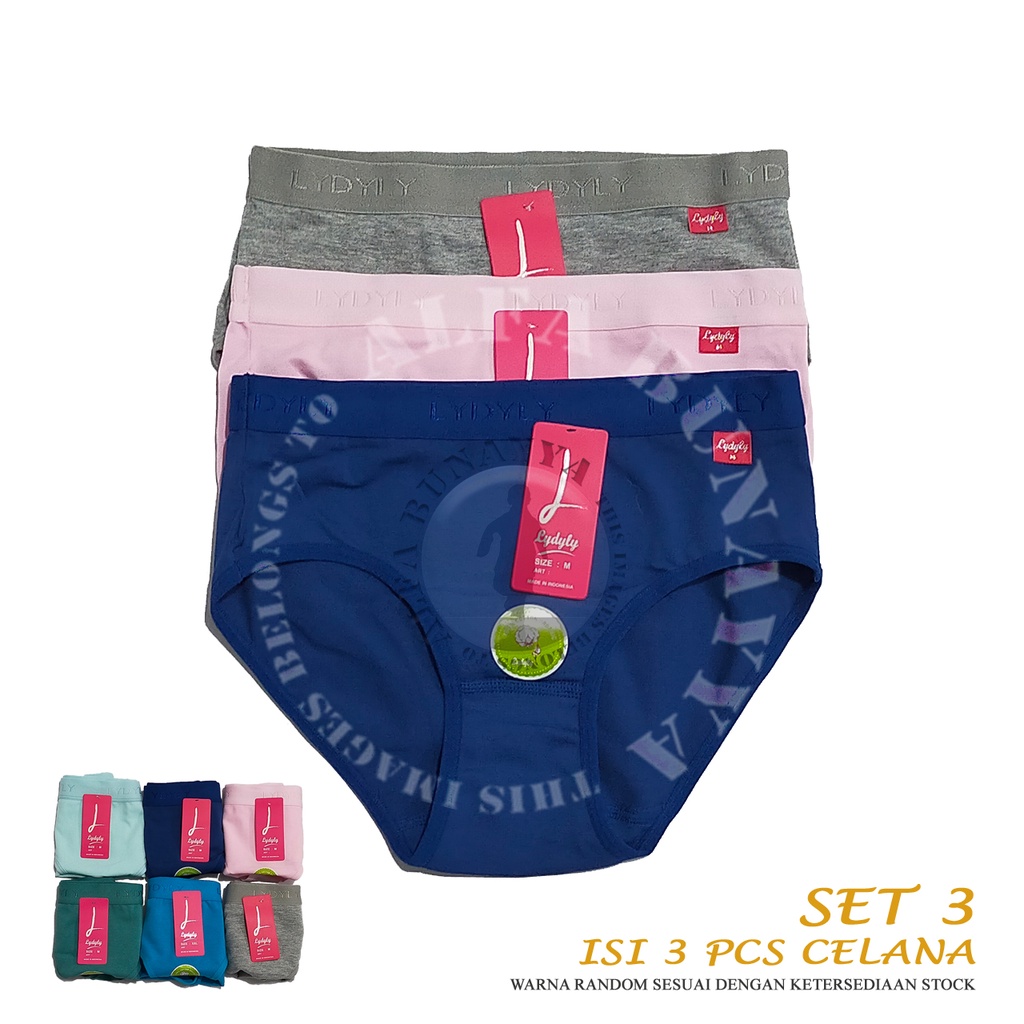 SET Isi 3 Celana Dalam Wanita LYDYLY - CD Pakaian Dalam - Underwear