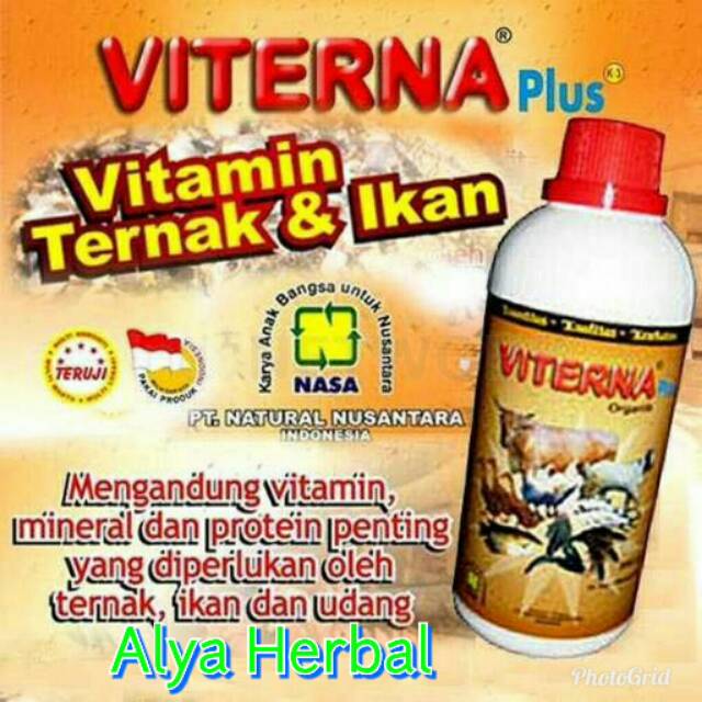 Viterna Vitamin Ternak Obat Nafsu Makan Ternak Sapi Domba Ayam