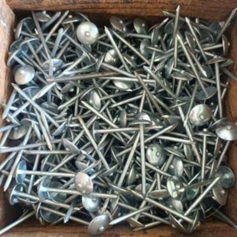 Paku Payung 2" / Paku Asbes