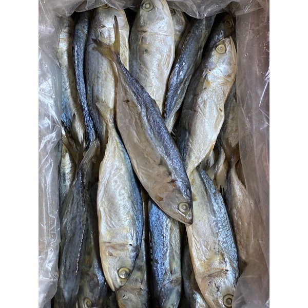 

IKAN ASIN PEDA KEMBUNG PUTIH BESAR, 500g