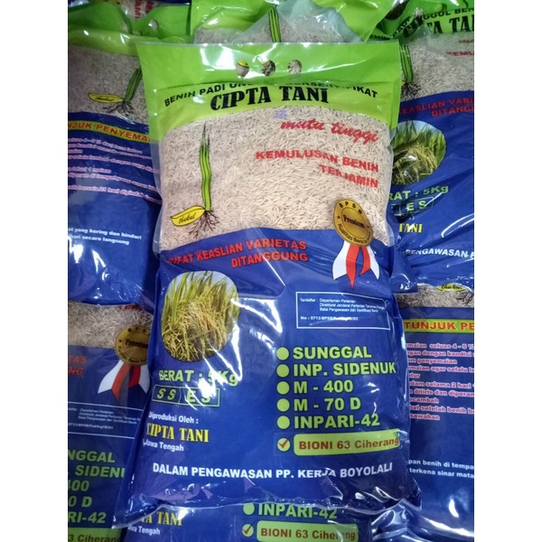 BENIH PADI BIONI 63 CIHERANG (INOVASI TERBARU)