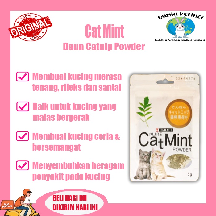 Daun Catnip Mint CATMINT 5 GR Herbs kering kucing Nepeta cataria