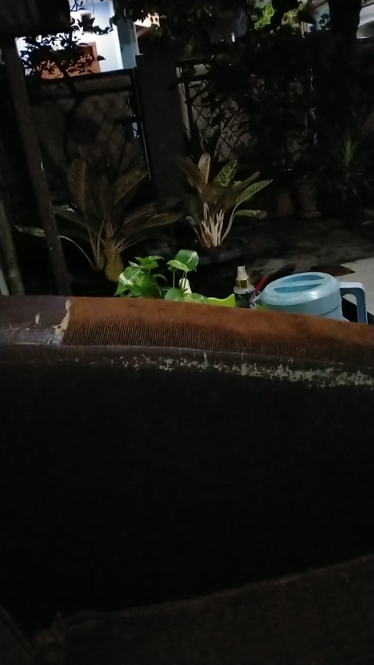 Payung Transparan - Payung Jepang